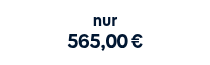 <p>nur</p>
<p style="font-weight: bold;"><span style="font-size: 20px;">565,00 €</span></p>