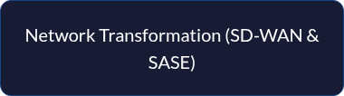 <p style="line-height: 1.5;">Network Transformation (SD-WAN &amp; SASE)</p>
