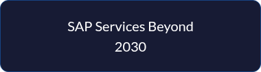 <p style="line-height: 1.5;">SAP Services Beyond 2030</p>