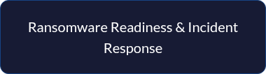 <p style="line-height: 1.5;">Ransomware Readiness &amp; Incident Response</p>