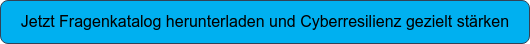 Jetzt Fragenkatalog herunterladen und Cyberresilienz gezielt stärken