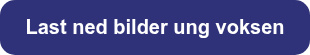 Last ned bilder ung voksen