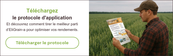 T&eacute;l&eacute;chargez le protocole d'application Et d&eacute;couvrez comment tirer le meilleur parti d&rsquo;EliGrain-a pour optimiser vos rendements. &nbsp;