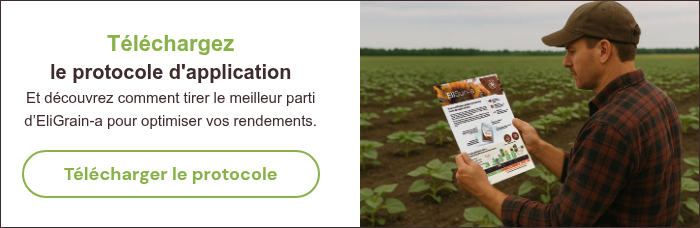 T&eacute;l&eacute;chargez le protocole d'application Et d&eacute;couvrez comment tirer le meilleur parti d&rsquo;EliGrain-a pour optimiser vos rendements. &nbsp;