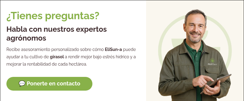 &iquest;Tienes preguntas? Habla con nuestros expertos agr&oacute;nomos Recibe asesoramiento personalizado sobre c&oacute;mo EliSun-a puede ayudar a tu cultivo de girasol a rendir mejor bajo estr&eacute;s h&iacute;drico y a mejorar la rentabilidad de cada hect&aacute;rea.