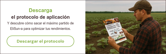 Descarga el protocolo de aplicaci&oacute;n Y descubre c&oacute;mo sacar el m&aacute;ximo partido de EliSun-a para optimizar tus rendimientos. &nbsp;