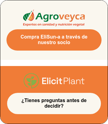 Logo-Agroveyca