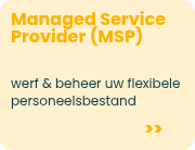 Managed Service Provider (MSP) &nbsp;