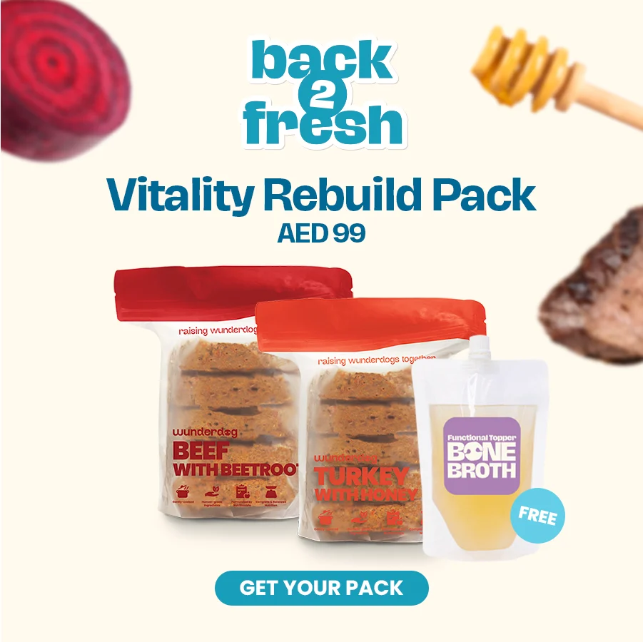 Wunderdog Vitality Rebuild Pack with iron-rich meals and bone broth to restore energy, appetite, and coat health