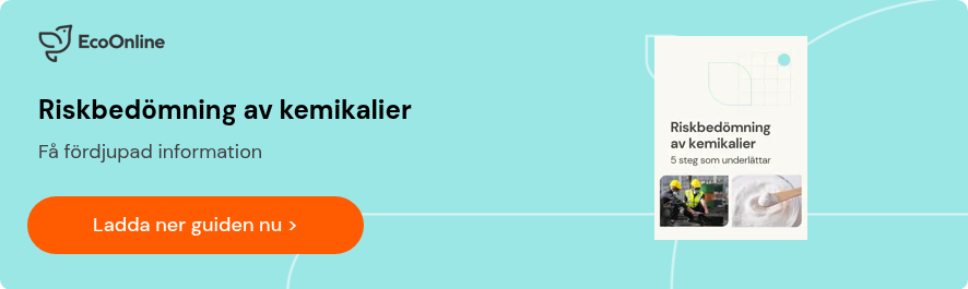 Riskbedömning av kemikalier