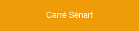 Carré Sénart