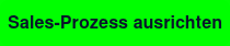 Sales-Prozess ausrichten