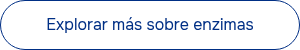 <span style="color: #222222; background-color: #ffffff;"><span style="color: #1f1f1f; background-color: #ffffff;">Explorar m&aacute;s sobre enzimas</span><br></span>