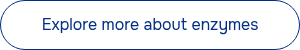 Explore more about enzymes