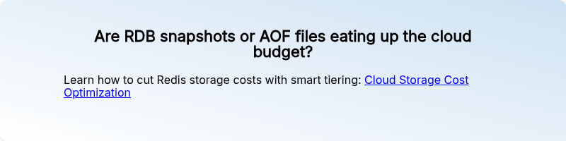 Are RDB snapshots or AOF files eating up the cloud budget?