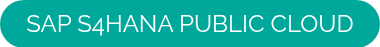 <span style="font-size: 24px;"><span style="font-size: 24px;">SAP S4HANA PUBLIC CLOUD</span></span>