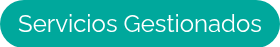 <span style="font-size: 24px;">Servicios Gestionados</span>