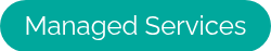 <span style="font-size: 24px;">Managed Services</span>