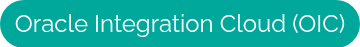 <span style="font-size: 24px;">Oracle Integration Cloud (OIC)</span>