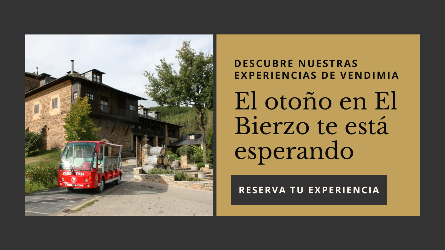 CTA Otoño en el Bierzo