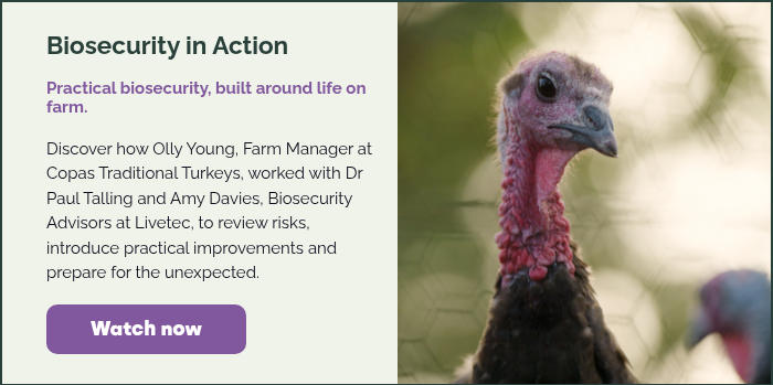 Biosecurity in Action &nbsp; Practical biosecurity, built around life on farm.&nbsp; &nbsp; Discover how Olly Young, Farm Manager at Copas Traditional Turkeys, worked with Dr Paul Talling and Amy Davies, Biosecurity Advisors at Livetec, to review risks, introduce practical improvements and prepare for the unexpected. &nbsp;