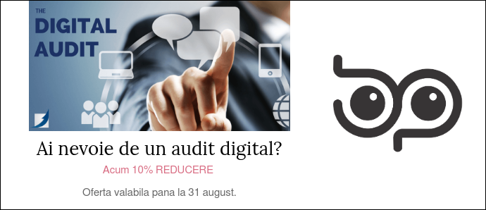 The-Digital-Audit-1