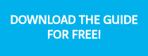 <h3>DOWNLOAD THE GUIDE FOR FREE!</h3>