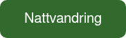 <p>Nattvandring</p>