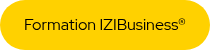 Formation IZIBusiness®