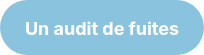 <div style="line-height: 20px;"><strong>Un audit de fuites</strong></div>