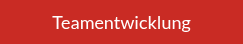 Teamentwicklung