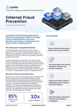 Cover_Vyntra_Brochure_Internal_Fraud_Prevention