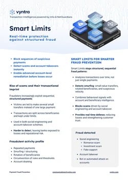 Cover_Vyntra_Brochure_Smart_Limits