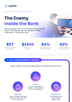 Cover_Vyntra_Infographic_Internal_Fraud