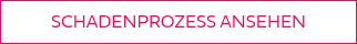 <p>SCHADENPROZESS ANSEHEN</p>