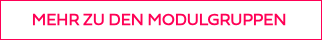 <p style="font-weight: bold;">MEHR ZU DEN MODULGRUPPEN&nbsp;</p>