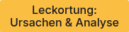 <div style="text-align: center;">Leckortung: Ursachen &amp; Analyse</div>
<span style="font-family: Verdana, Geneva, sans-serif; font-size: 16px;"></span>