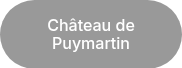 <p>Château de Puymartin</p>