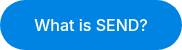 <p>What is SEND?</p>