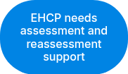 EHCP needs assessment and reassessment support