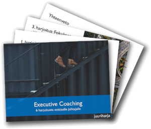 Executive Coaching -opas