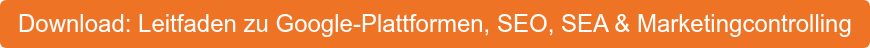 Download: Leitfaden zu Google-Plattformen, SEO, SEA & Marketingcontrolling