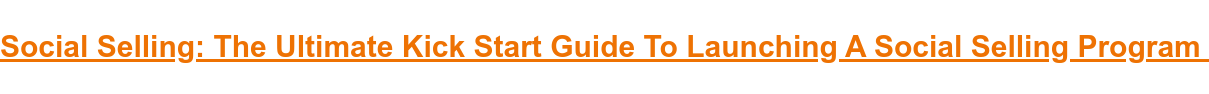Social Selling: The Ultimate Kick Start Guide To Launching A Social Selling  Program&nbsp;