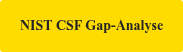 NIST CSF Gap-Analyse