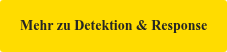 Mehr zu Detektion & Response