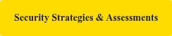 Security Strategies & Assessments