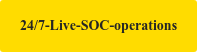 24/7-Live-SOC-operations