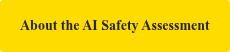 About the AI Safety Assessment