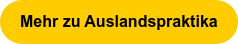 Mehr zu Auslandspraktika