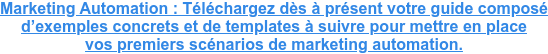 Marketing Automation : Téléchargez dès à présent votre guide composé d’exemples concrets et de templates à suivre pour mettre en place vos premiers scénarios de marketing automation.